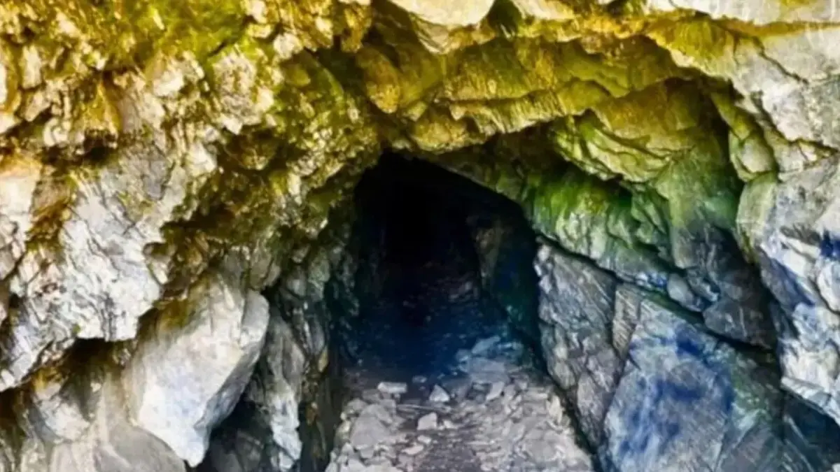 16 specii necunoscute, descoperite într-o peșteră din Noua Zeelandă