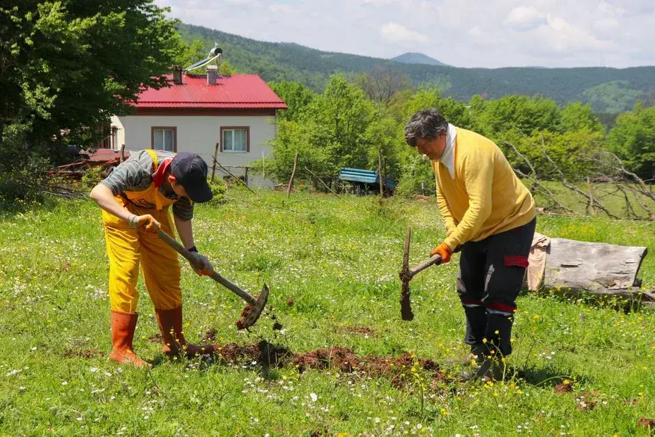 Abuz sau neglijență? Cazul șocant de la Spitalul de Psihiatrie Voila