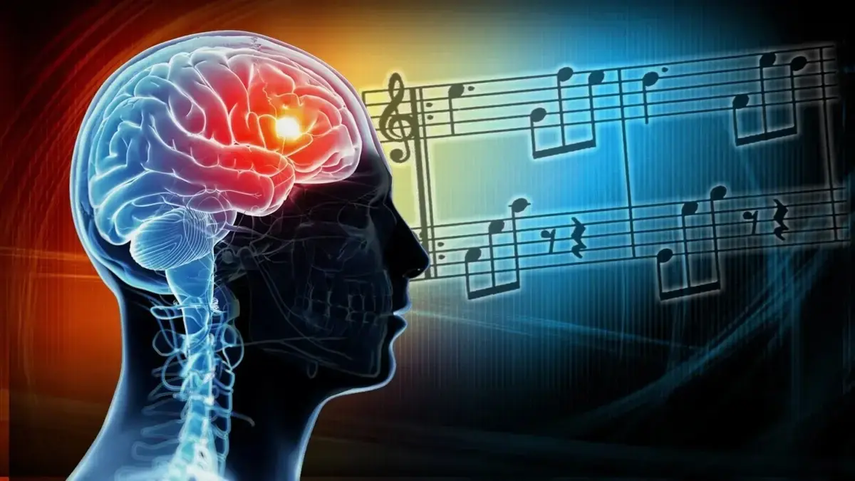 Creierul anticipează melodia preferată cu fracțiuni de secundă înainte s-o auzim
