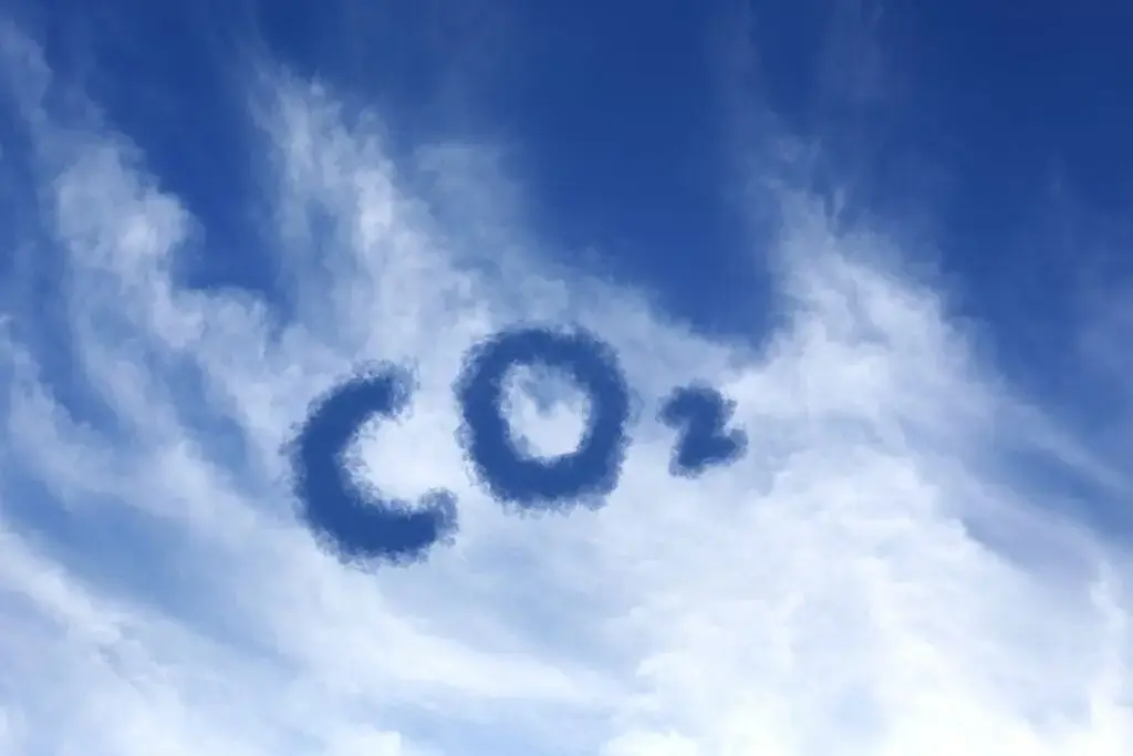 Cum se calculează amprenta de carbon? Un test de cultură generală