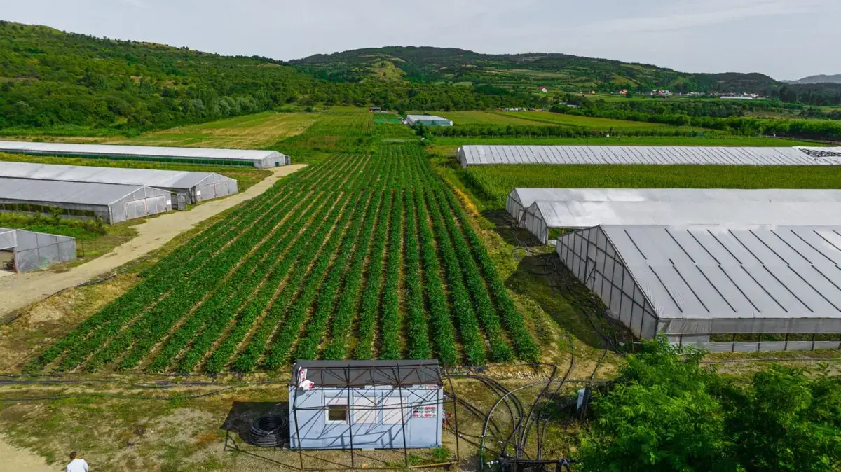 Fermierii români, sprijin de până la 50.000 de euro pentru modernizare