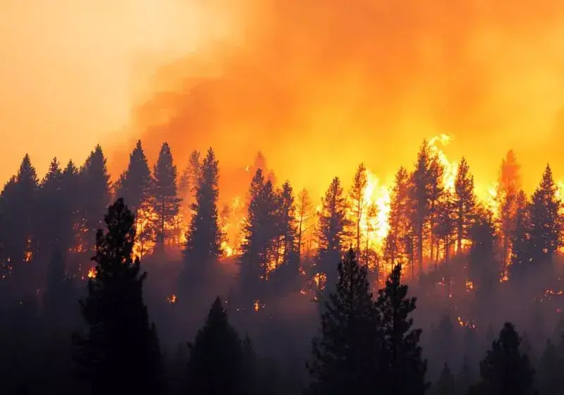 Grecia luptă cu incendiile: Sateliți de ultimă generație detectează focarele din fașă