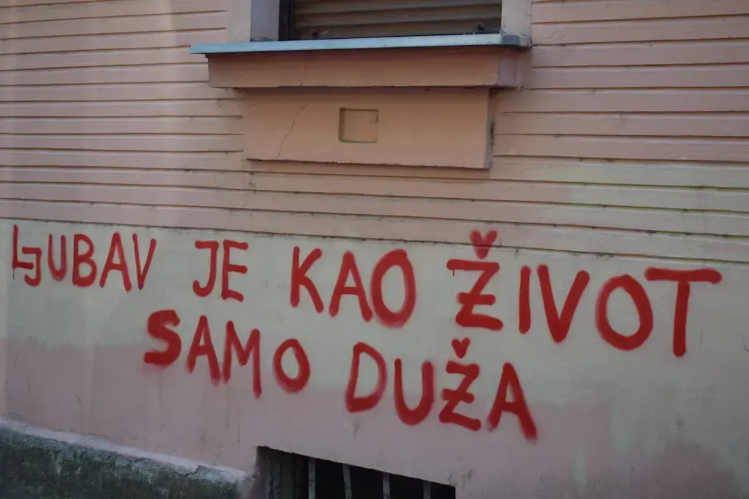 Guvernul vrea să dezvăluie adresele vilelor de protocol