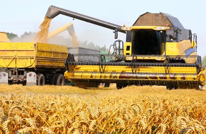 Insolvențele în agricultură, creștere alarmantă: 19 firme mari, în dificultate