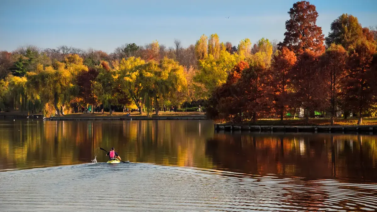 Lacul Herăstrău este golit parțial pentru lucrări de reabilitare
