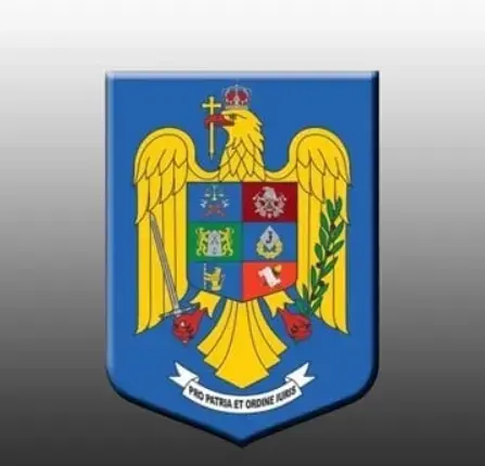MAI precizează procedura de achiziție a armamentului de tip NATO și a muniției