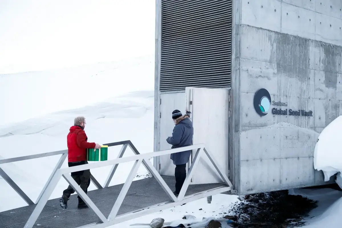 Planta rară din Antarctica, soluția pentru culturi rezistente