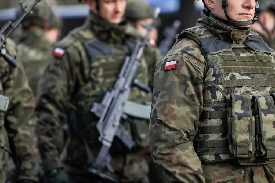 Polonia își modernizează armata: mai puține tancuri, mai multe drone