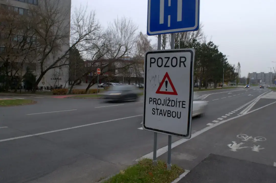 Provocările supervizării sistemelor de plată de stat