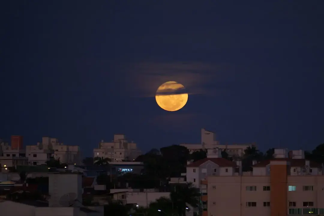 Râsul este cheia pentru longevitate