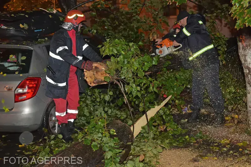 Vijelie devastatoare în București: un copac s-a prăbușit peste o mașină în mers, o victimă