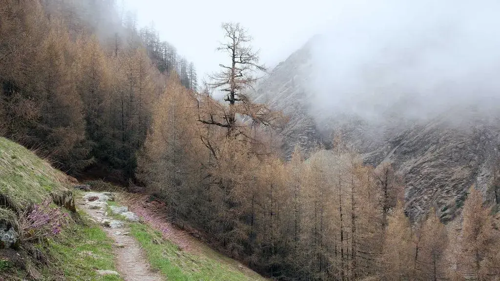 ANM emite alertă de vijelii cu grindină pentru sâmbătă seară în patru județe din nord-est