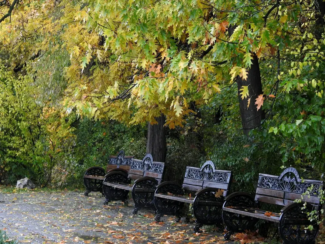 Cum arăta toamna în București acum 100 de ani