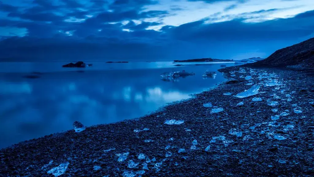 Meșteșugul vechi de șapte veacuri care transformă buruienile unui lac indian în artă