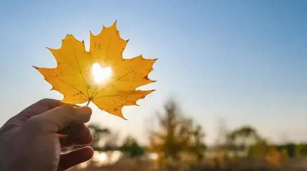 Prognoza meteo pe o lună: Frig și brumă la final de septembrie, urmate de o încălzire în octombrie