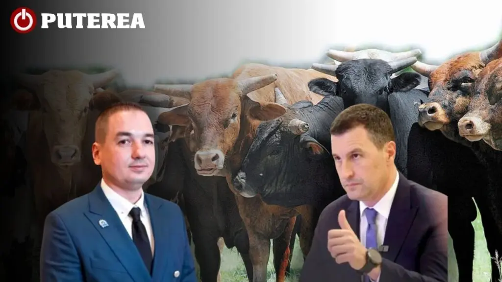 Culisele alianței dintre Tánczos Barna și șeful ANSVSA: Afaceri cu iz penal la Ankara