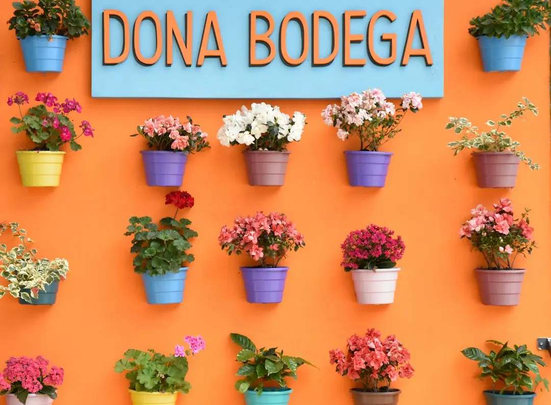Dobânzile pot crește din nou în Europa: ce înseamnă pentru români cu rate la bancă?
