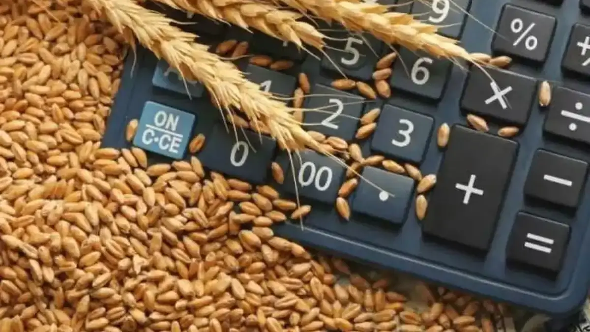 Fermierii români cere prioritate la exporturi față de cerealile ucrainene