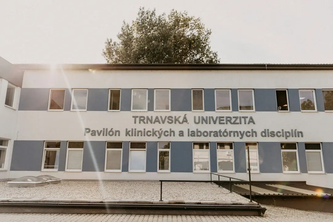 Arhitectul din umbră: Cum a transformat Ted Sarandos Netflix într-un gigant global