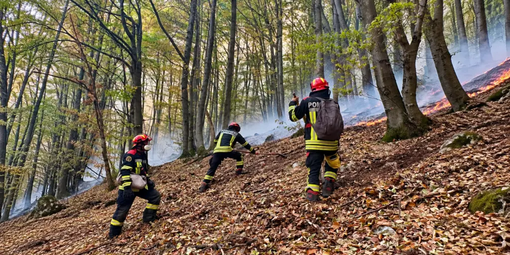 Peste 140 de salvatori intervin pentru stingerea incendiului de vegetație din Parcul Național Domogled